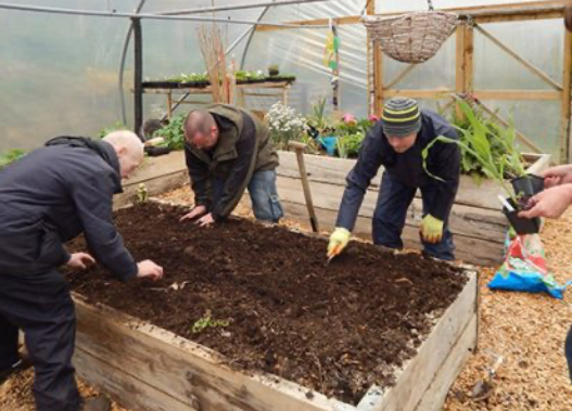 Rural Support group session planting in a polytunnel